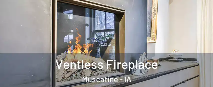  Ventless Fireplace Muscatine - IA