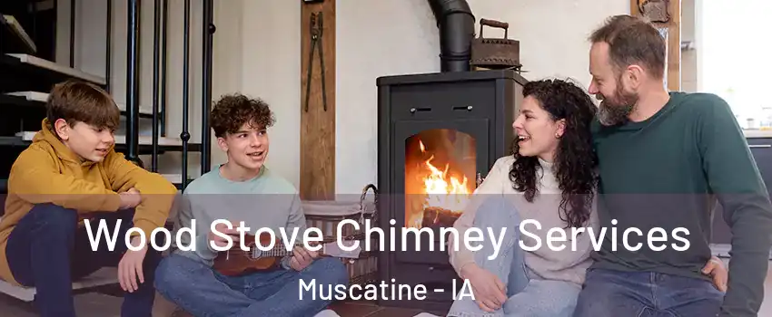  Wood Stove Chimney Services Muscatine - IA