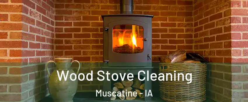  Wood Stove Cleaning Muscatine - IA